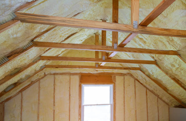 Best Professional Insulation Contractor  in Centerville, CA